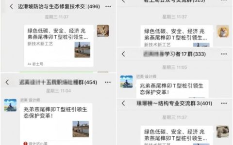 兆弟燕尾榫卯t型桩如何引领护岸工程绿色革命