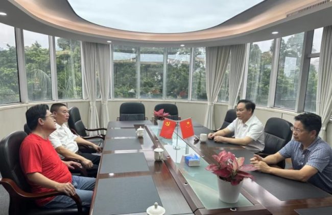 坚持弘扬冼夫人精神电影的创作方向，中共广东省委统战部副部长黄育振谈冼夫人电影创新