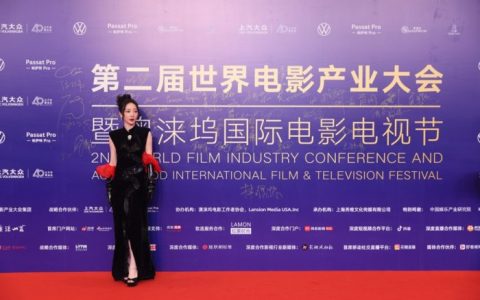 柳岩闪耀上汽大众帕萨特pro之夜，黑色礼服加冕影后桂冠